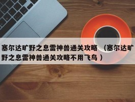 塞尔达旷野之息雷神兽通关攻略 （塞尔达旷野之息雷神兽通关攻略不用飞鸟 ）