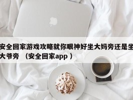 安全回家游戏攻略就你眼神好坐大妈旁还是坐大爷旁 （安全回家app ）