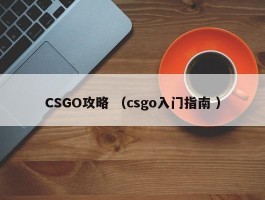 CSGO攻略 （csgo入门指南 ）