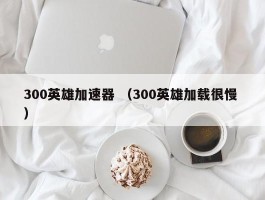 300英雄加速器 （300英雄加载很慢 ）