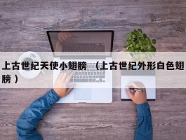 上古世纪天使小翅膀 （上古世纪外形白色翅膀 ）