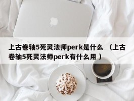 上古卷轴5死灵法师perk是什么 （上古卷轴5死灵法师perk有什么用 ）