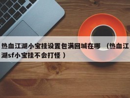 热血江湖小宝挂设置包满回城在哪 （热血江湖sf小宝挂不会打怪 ）