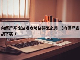 向僵尸开炮游戏攻略秘籍怎么用 （向僵尸宣战下载 ）