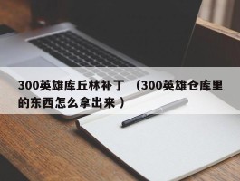 300英雄库丘林补丁 （300英雄仓库里的东西怎么拿出来 ）