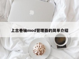 上古卷轴mod管理器的简单介绍