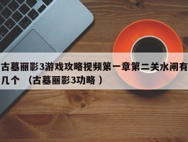 古墓丽影3游戏攻略视频第一章第二关水闸有几个 （古墓丽影3功略 ）