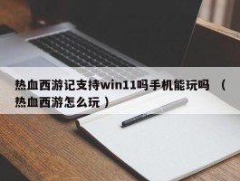 热血西游记支持win11吗手机能玩吗 （热血西游怎么玩 ）