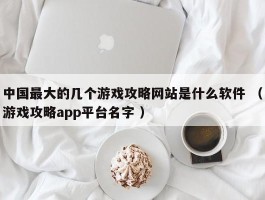 中国最大的几个游戏攻略网站是什么软件 （游戏攻略app平台名字 ）