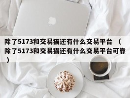 除了5173和交易猫还有什么交易平台 （除了5173和交易猫还有什么交易平台可靠 ）
