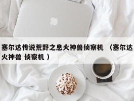 塞尔达传说荒野之息火神兽侦察机 （塞尔达火神兽 侦察机 ）