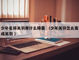 少年名将关羽用什么锦囊 （少年关羽怎么变成关羽 ）