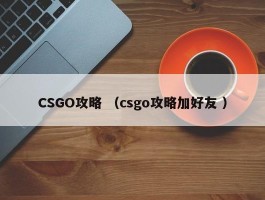 CSGO攻略 （csgo攻略加好友 ）