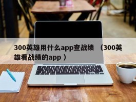 300英雄用什么app查战绩 （300英雄看战绩的app ）