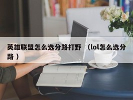 英雄联盟怎么选分路打野 （lol怎么选分路 ）