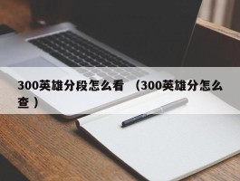 300英雄分段怎么看 （300英雄分怎么查 ）