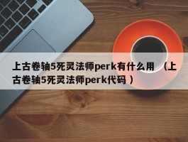 上古卷轴5死灵法师perk有什么用 （上古卷轴5死灵法师perk代码 ）