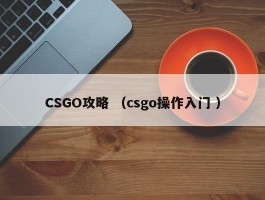 CSGO攻略 （csgo操作入门 ）