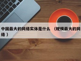 中国最大的网络实体是什么 （规模最大的网络 ）