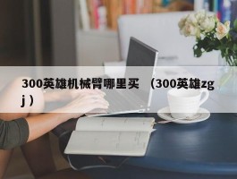 300英雄机械臂哪里买 （300英雄zgj ）