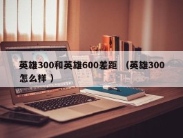 英雄300和英雄600差距 （英雄300怎么样 ）