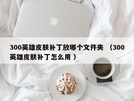 300英雄皮肤补丁放哪个文件夹 （300英雄皮肤补丁怎么用 ）