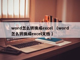 word怎么转换成excel （word怎么转换成excel文档 ）