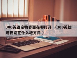 300英雄宠物界面在哪打开 （300英雄宠物能在什么地方用 ）