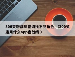 300英雄战绩查询找不到角色 （300英雄用什么app查战绩 ）