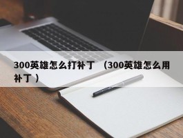 300英雄怎么打补丁 （300英雄怎么用补丁 ）