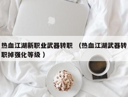 热血江湖新职业武器转职 （热血江湖武器转职掉强化等级 ）