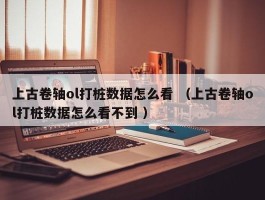 上古卷轴ol打桩数据怎么看 （上古卷轴ol打桩数据怎么看不到 ）