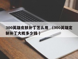 300英雄皮肤补丁怎么用 （300英雄定制补丁大概多少钱 ）