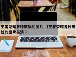 王者荣耀各种英雄的图片 （王者荣耀各种英雄的图片高清 ）