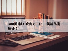 300英雄tzl攻击力 （300英雄伤害统计 ）