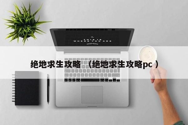 绝地求生攻略 (绝地求生攻略pc )