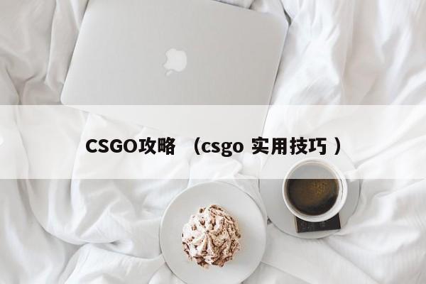 CSGO攻略 (csgo 实用技巧 )